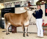 Lemoore High School's Madalyn Rodriguez has her Guernsey cow sold at auction at the Kings Fair.